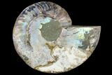 Agatized Ammonite Fossil (Half) - Madagascar #114921-1